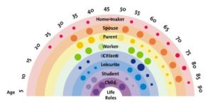 Life and Career Rainbow Diagram